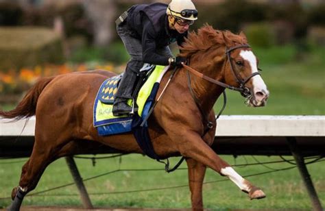 entries at oaklawn park